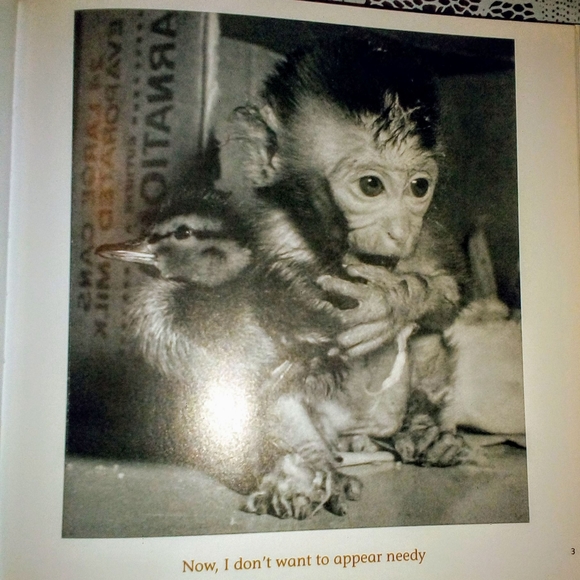 3 Pack Book Set: The Blue Day Book, The Meaning of Life, Thank You For Being You - Picture 12 of 16